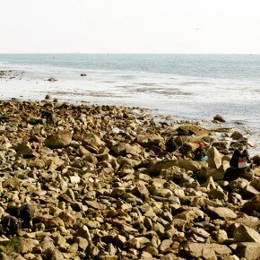 rocks