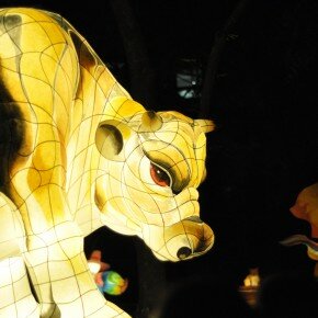 Seoul Lotus Lantern Festival