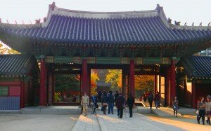 1FallinKorea
