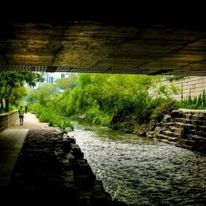 20120923-090156.jpg