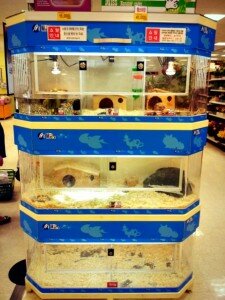 emart-pet-aisle