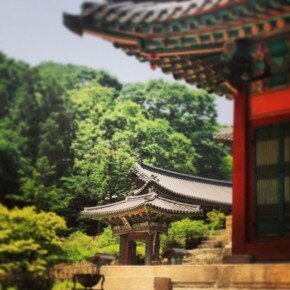 Beautiful architecture at the Changdeokgung secret garden