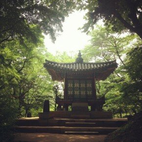 Light at the Changdeokgung secret garden