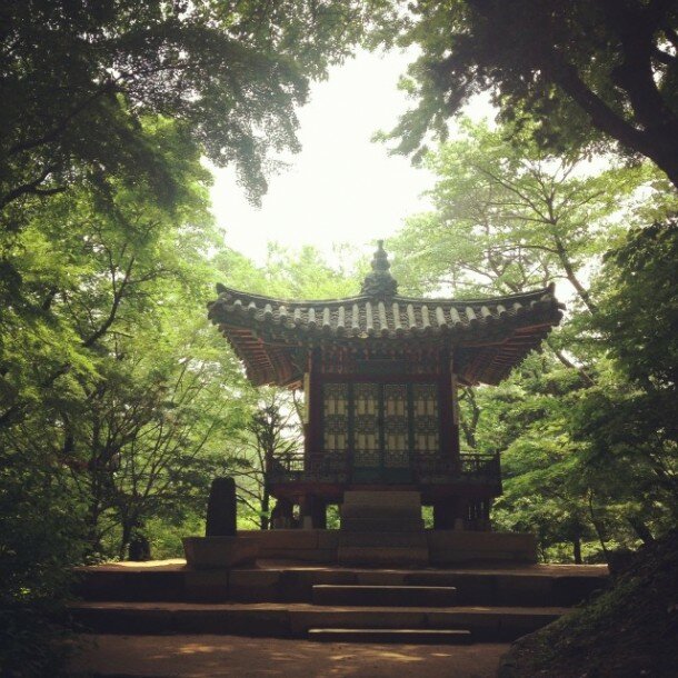 Light at the Changdeokgung secret garden